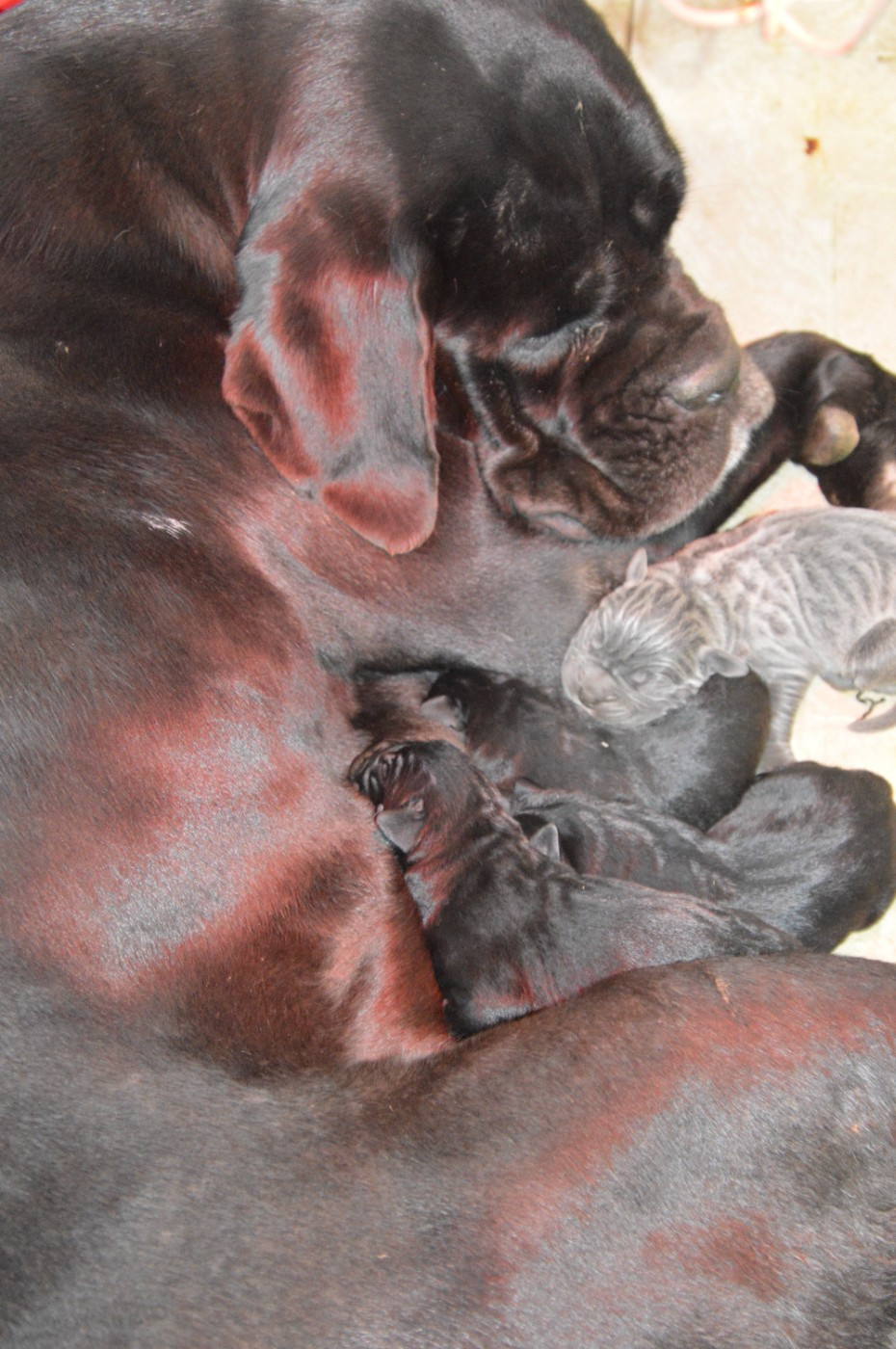 R'MIONE X UDO !! ils sont nés !